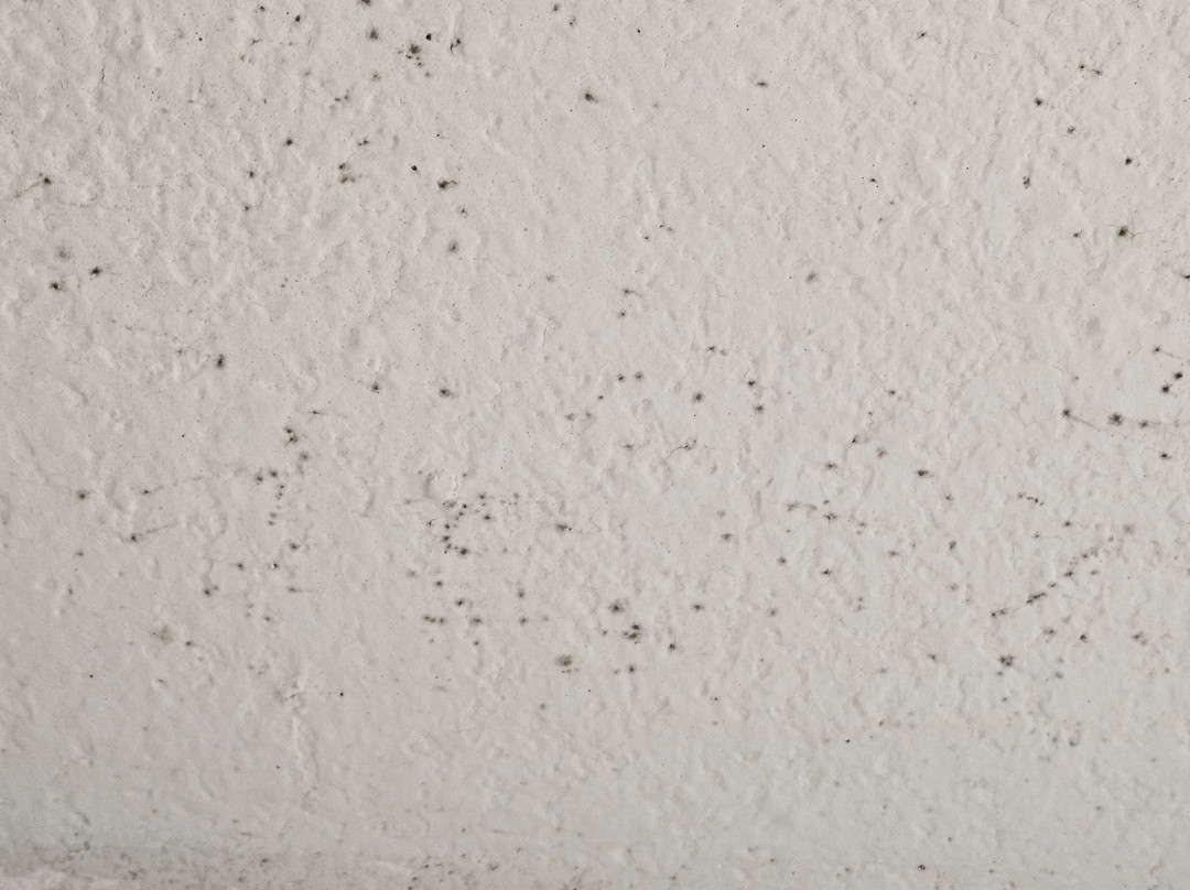 La Quinta Inn & Suites by Wyndham Chicago Gurnee主图