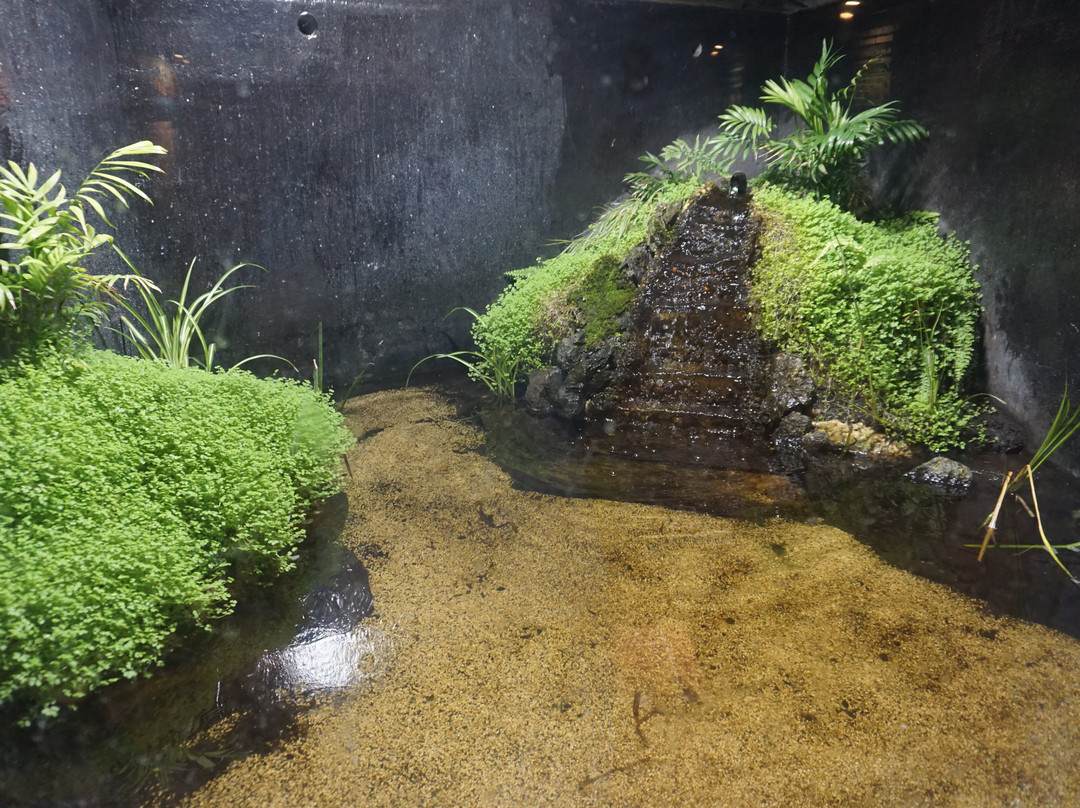 Aquarium Pula-普拉必去景点
