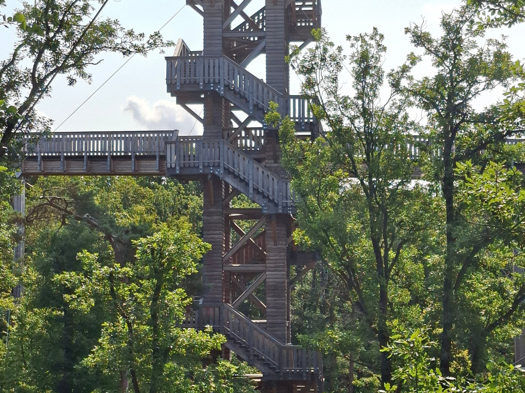 Baumwipfelweg Bad Camberg-Bad Camberg必去景点