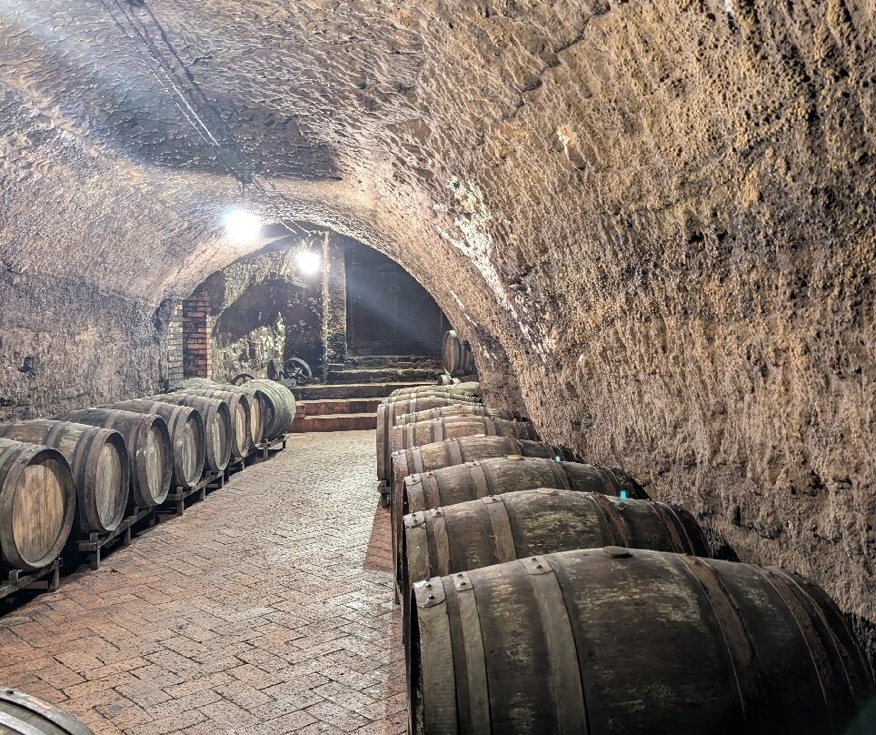 Cantine del Notaio-Rionero in Vulture必去景点