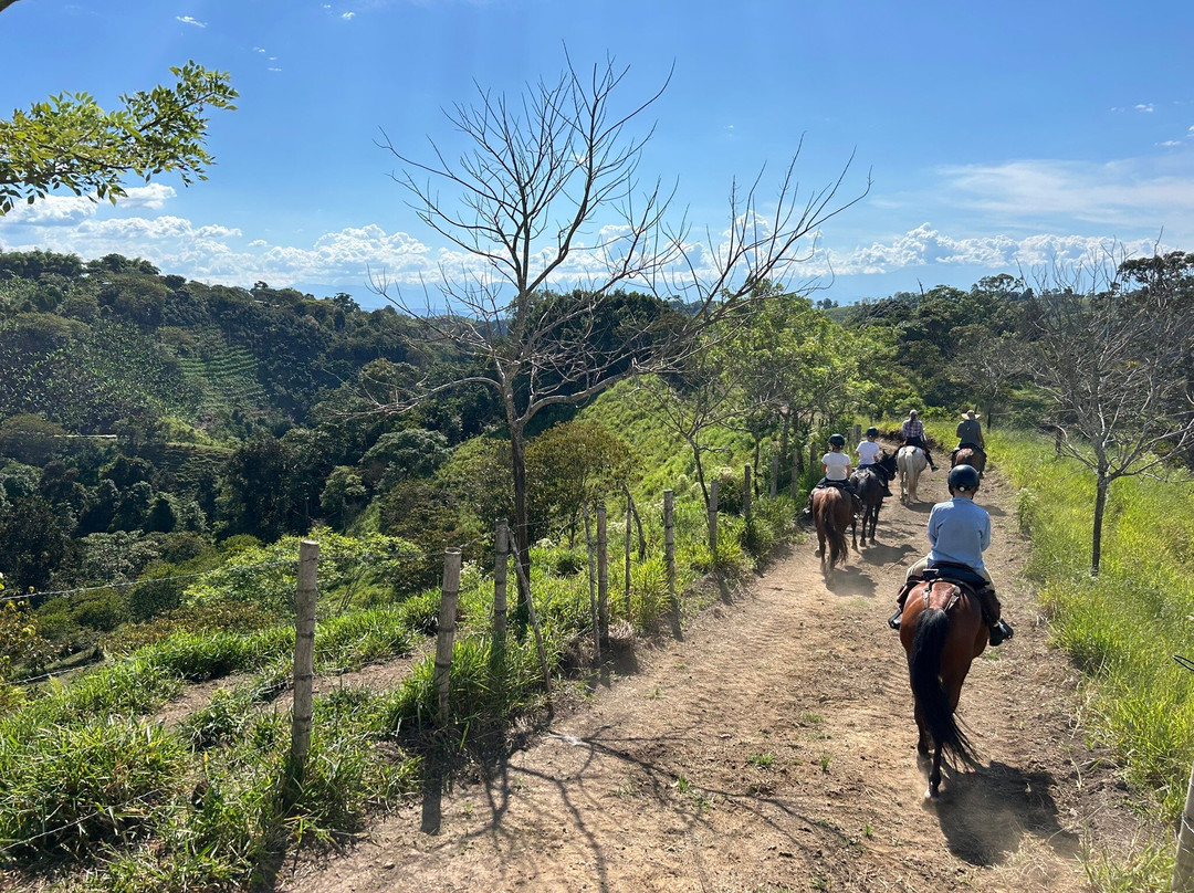 Steel Horse Colombia-Filandia必去景点