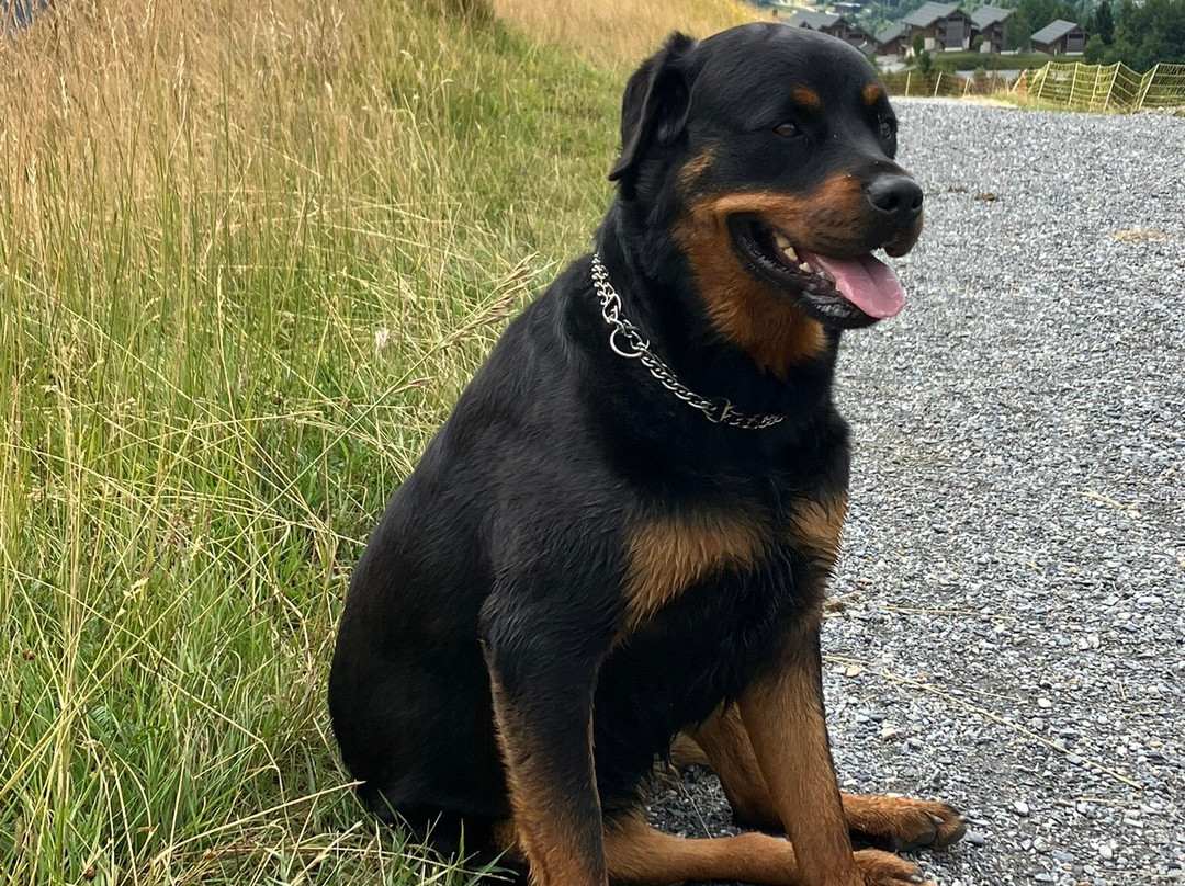 La Toussuire - Les Sybelles-Fontcouverte-la-Toussuire必去景点