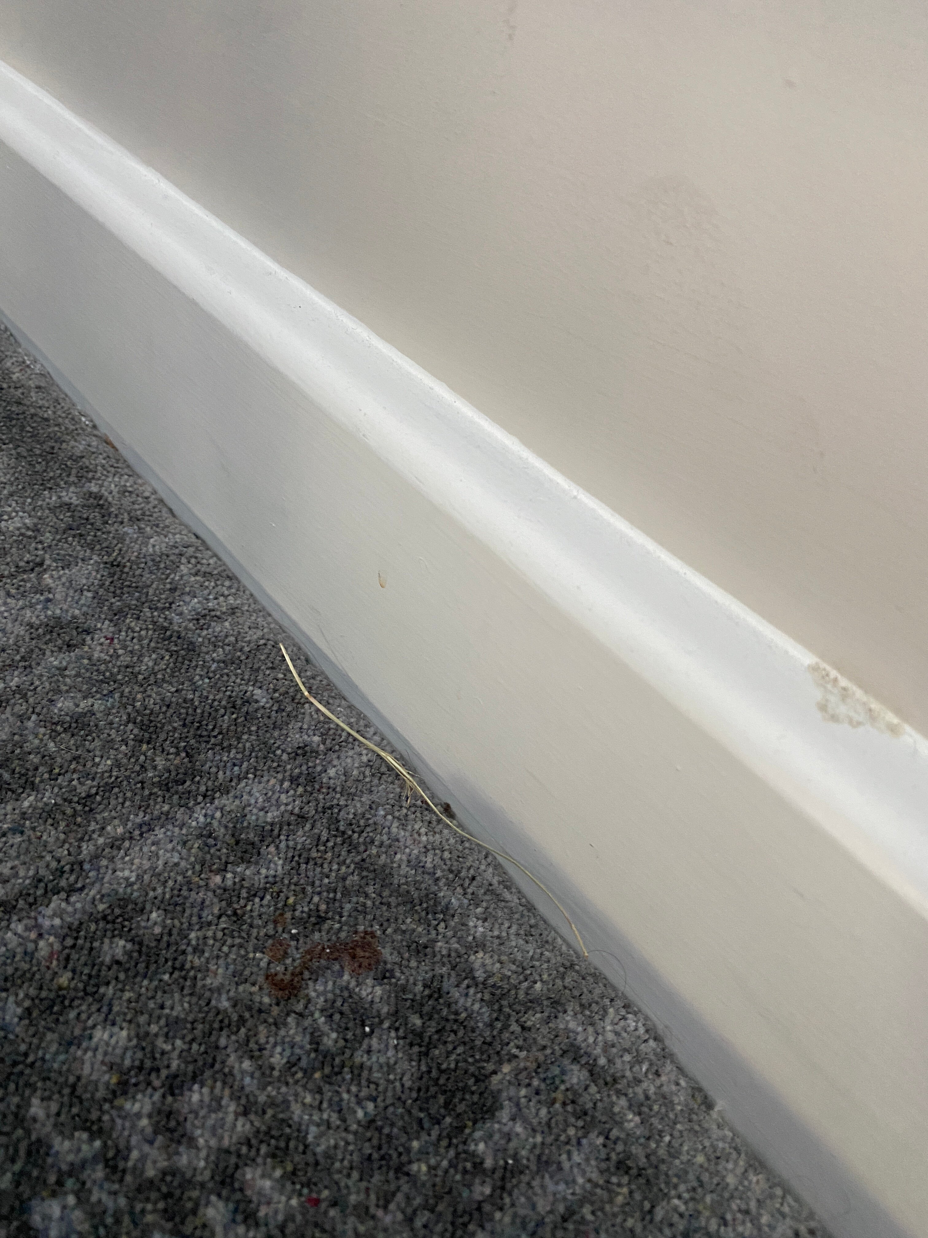 Tŷ Milford Waterfront-客卧