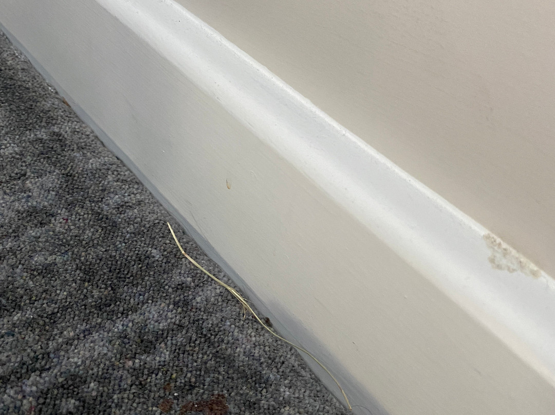 Tŷ Milford Waterfront主图