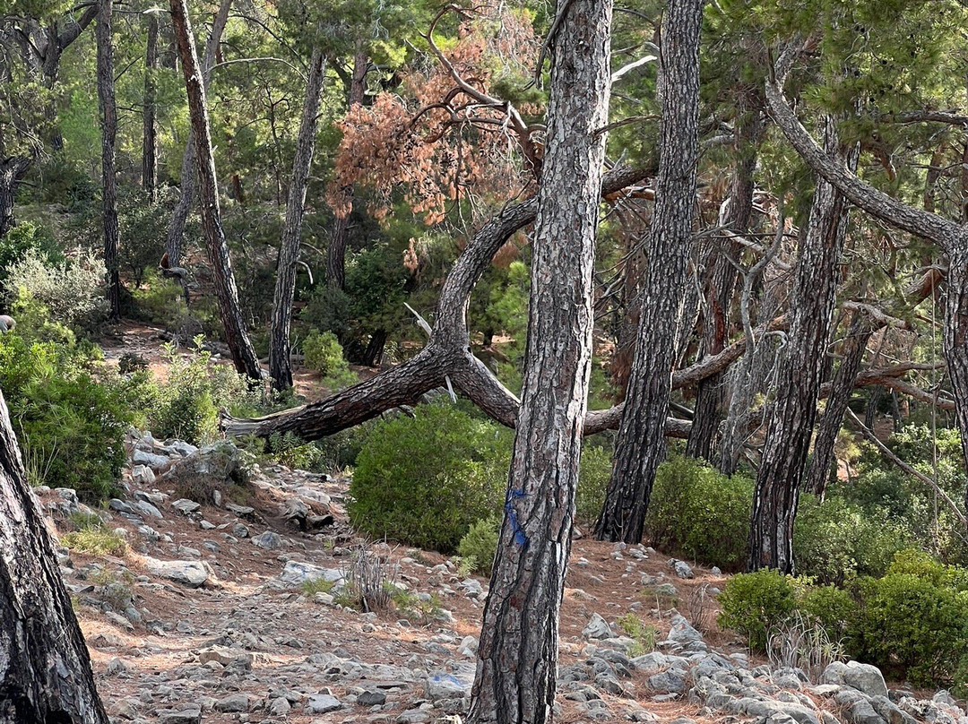 Çaliş Tepesi-凯梅尔必去景点
