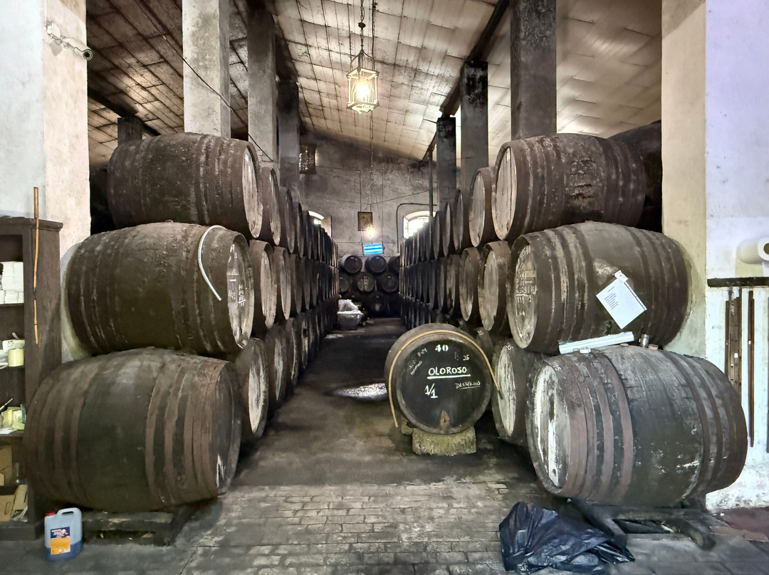 Bodegas Baron-Sanlucar de Barrameda必去景点