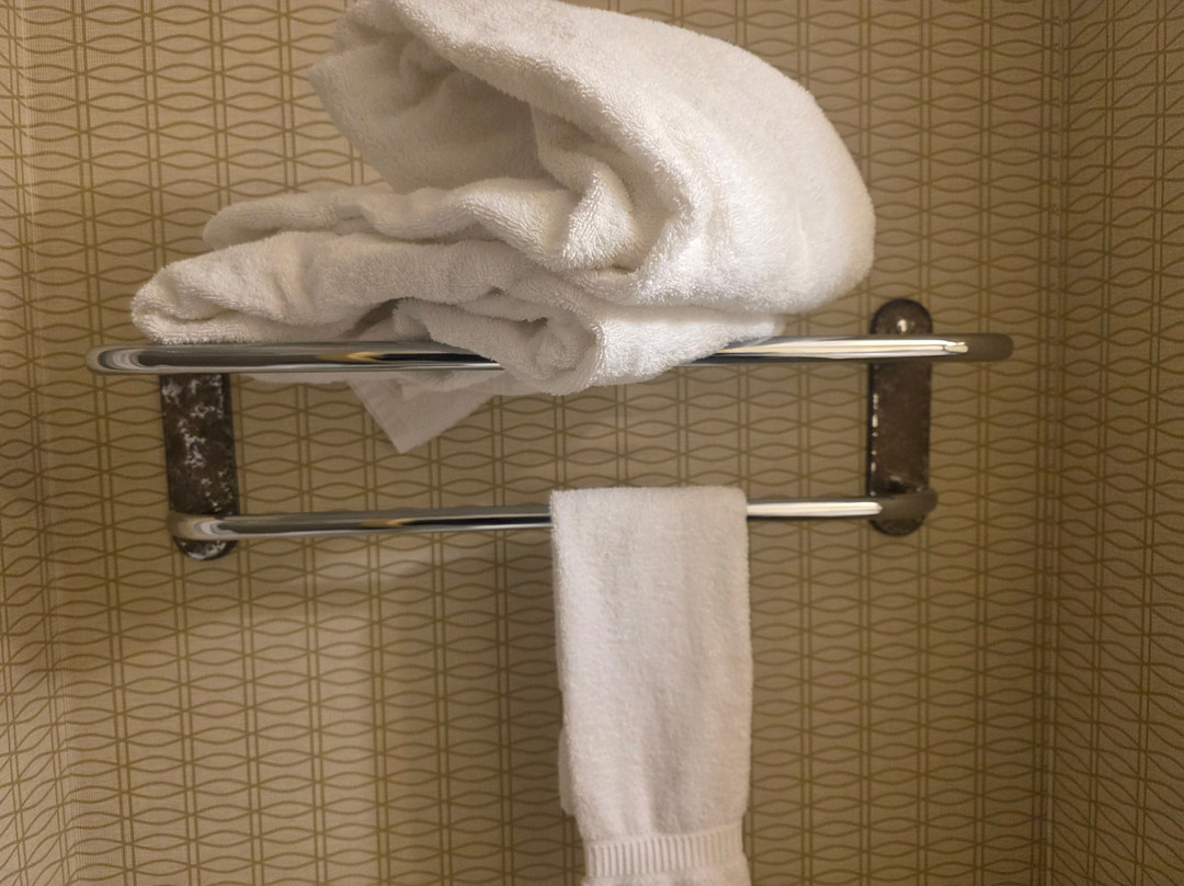 Clarion Hotel & Conference Centre主图