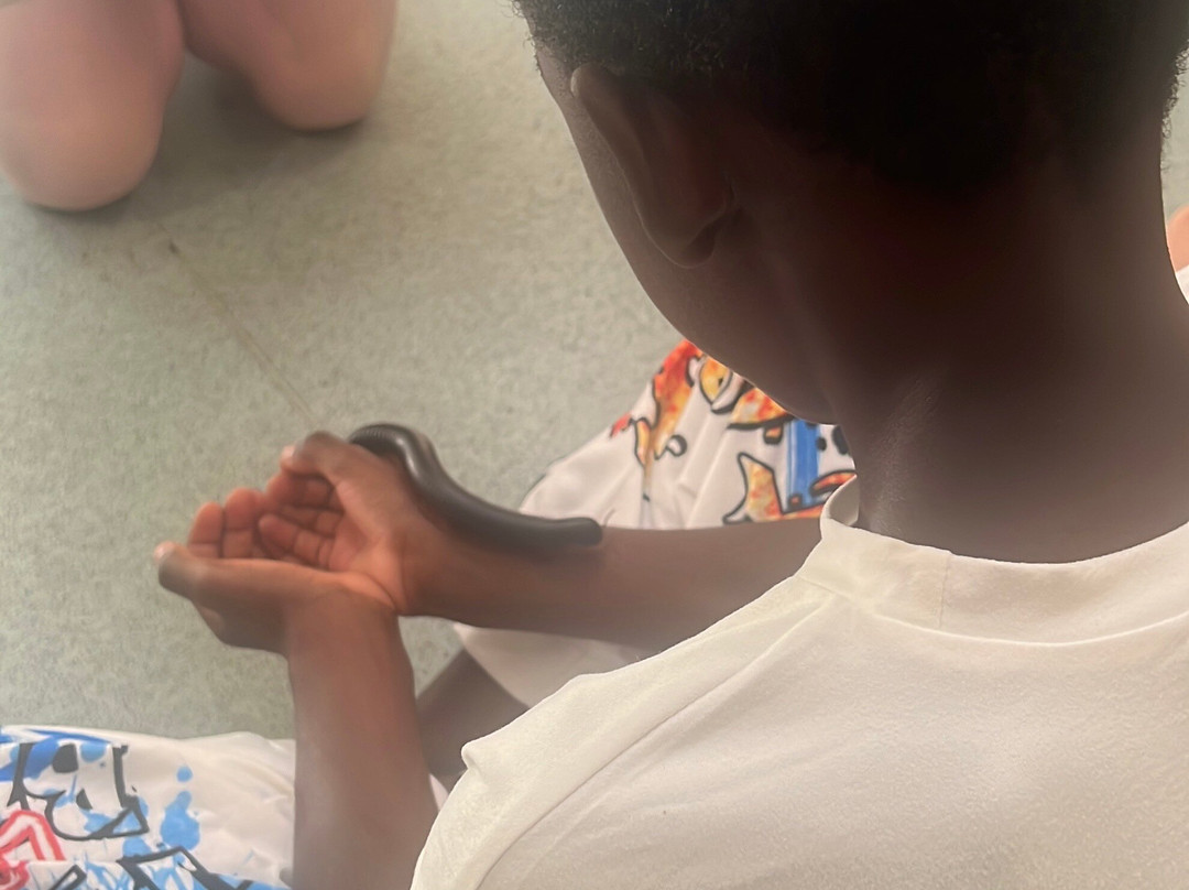 Bromley Parks Environmental Education-奥尔平顿必去景点