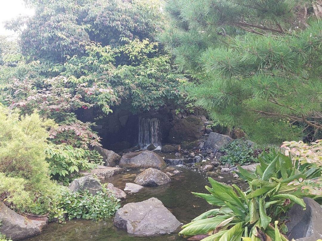 Oranjerie De Groene Parel Den Helder-登海尔德必去景点