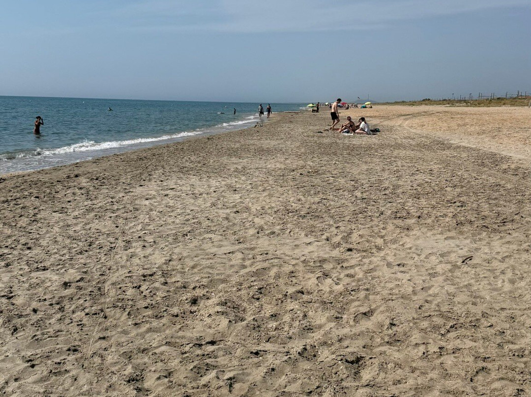 Baleine Beach-赛特必去景点