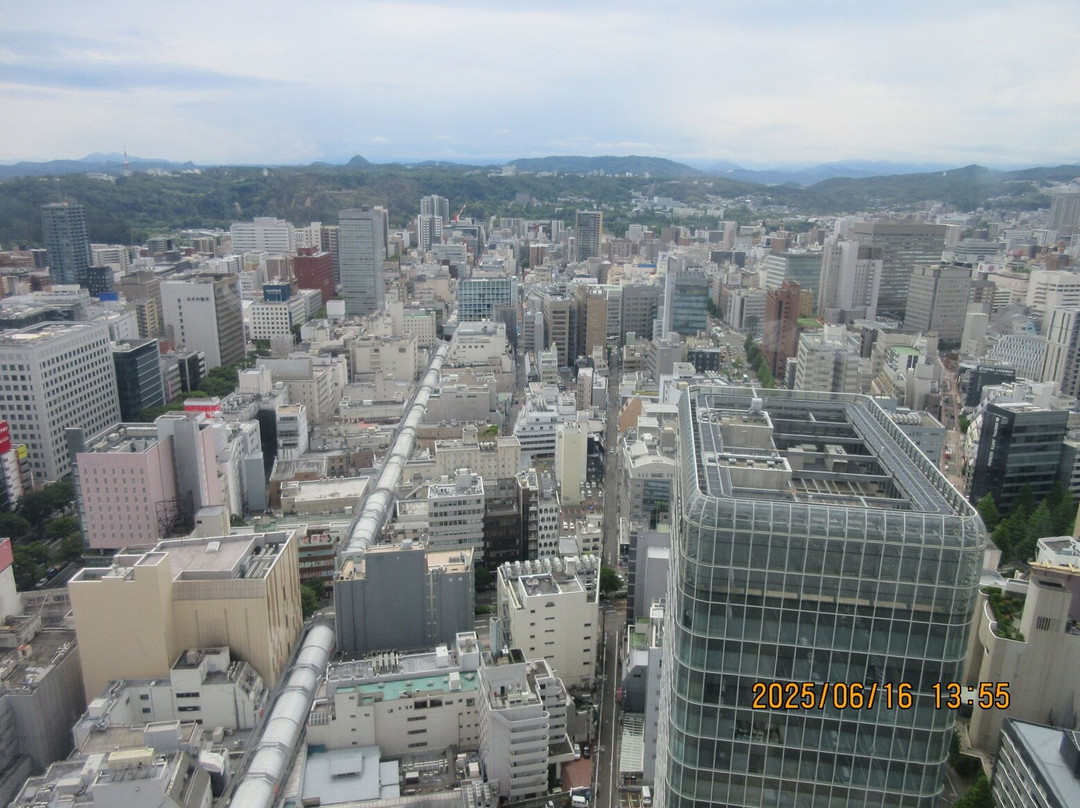 AER Lookout Terrace-仙台市必去景点