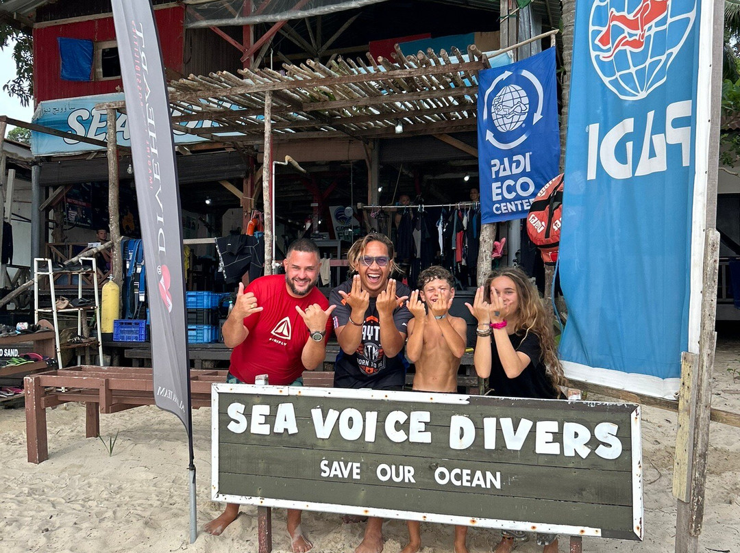 Sea Voice Divers-小停泊岛必去景点