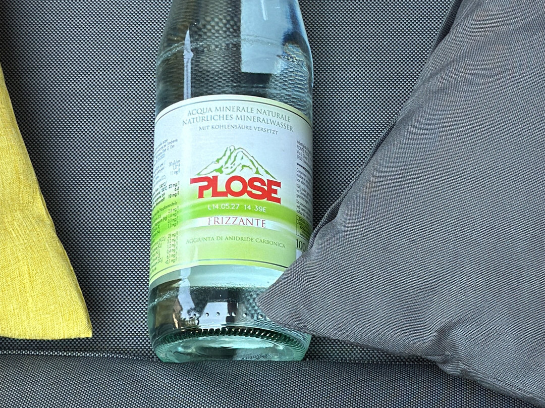 Hotel Tyrol Plose主图