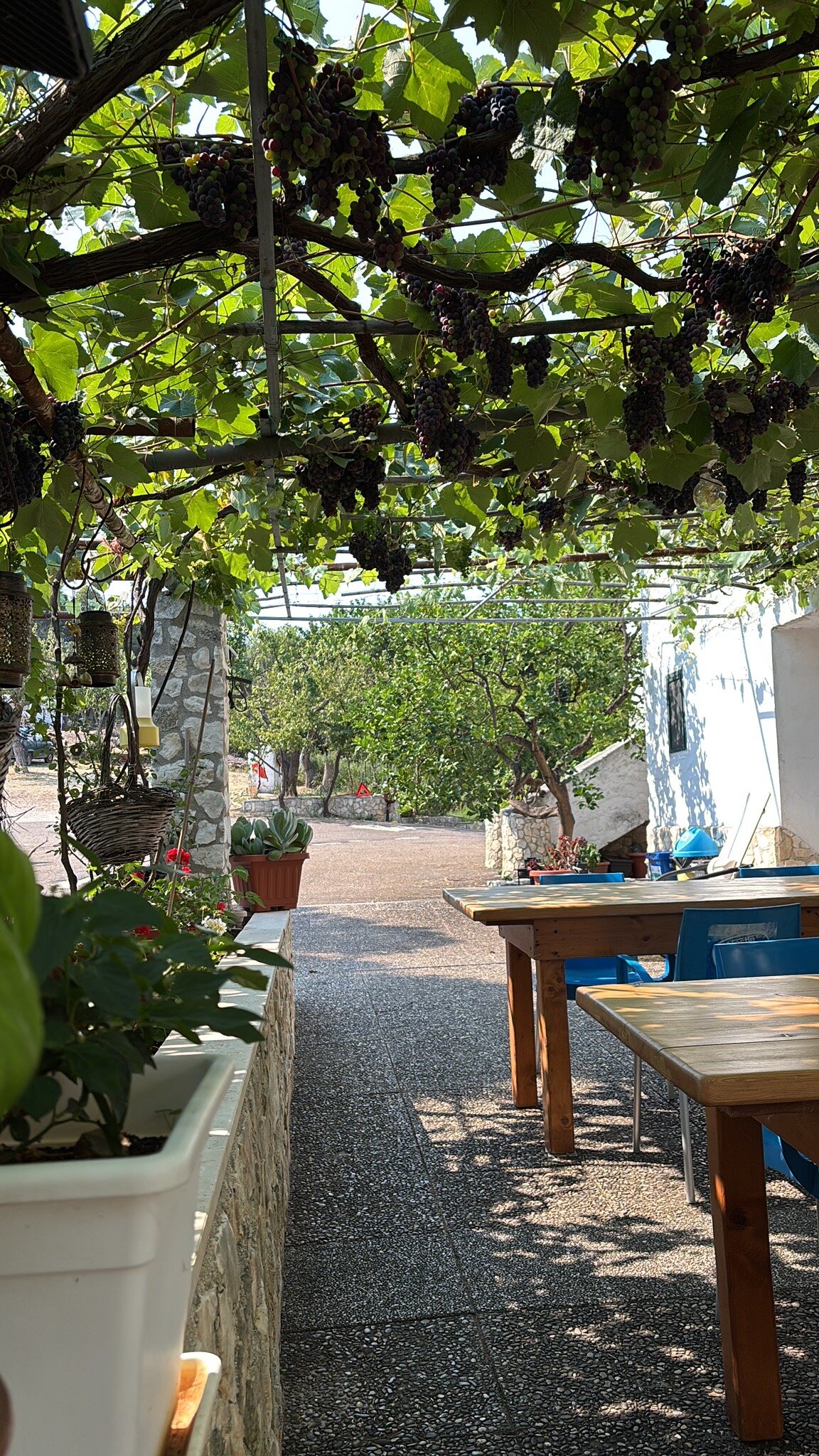 Casa Colletta Vieste-官方