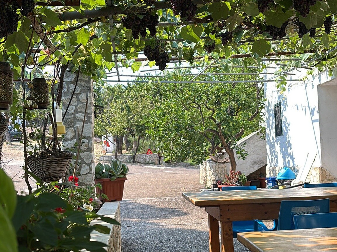 Casa Colletta Vieste主图