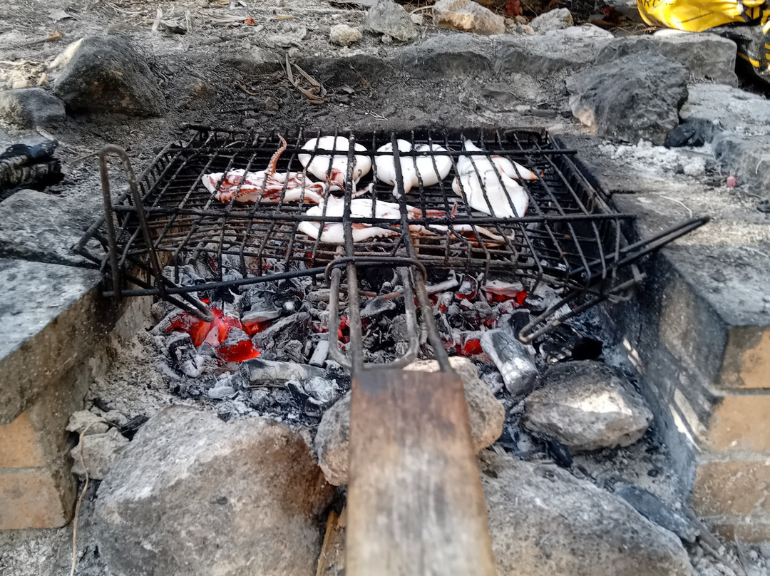 Fish & Fun With Nikos-Stegna必去景点