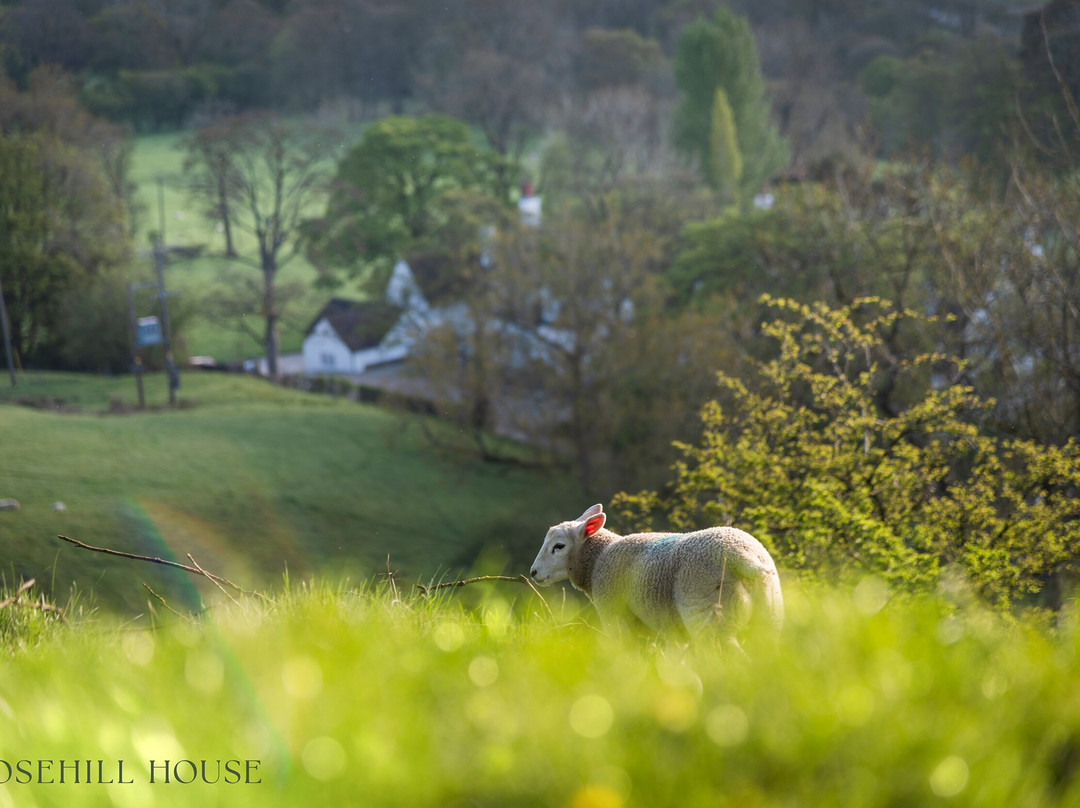 Losehill House Hotel & Spa主图