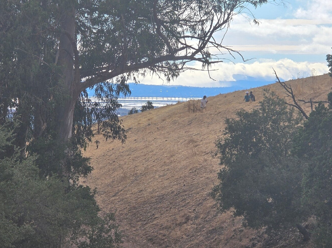 Mission Peak Regional Preserve-费利蒙必去景点