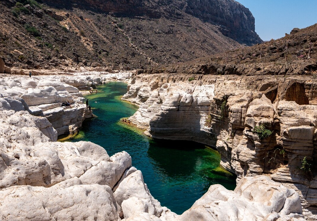 Socotra Biosphere Tours