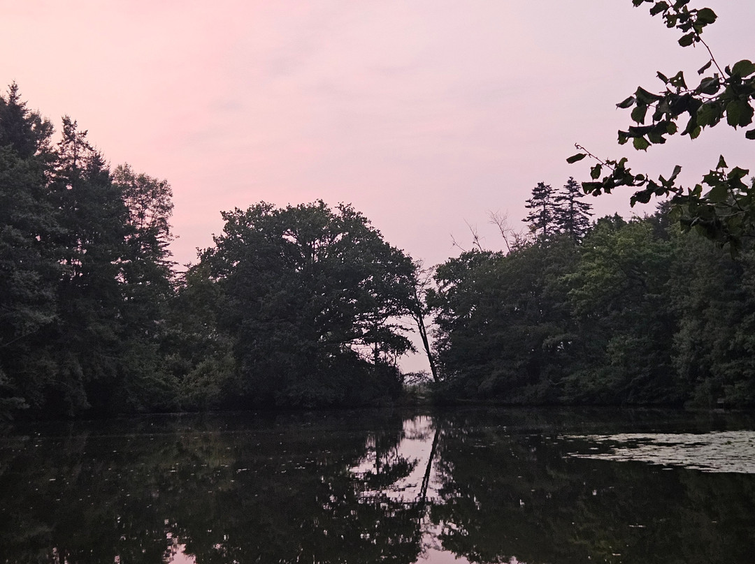 New Mill Carp Fisheries