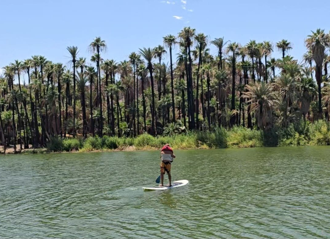 Ignacio Springs Bed & Breakfast主图