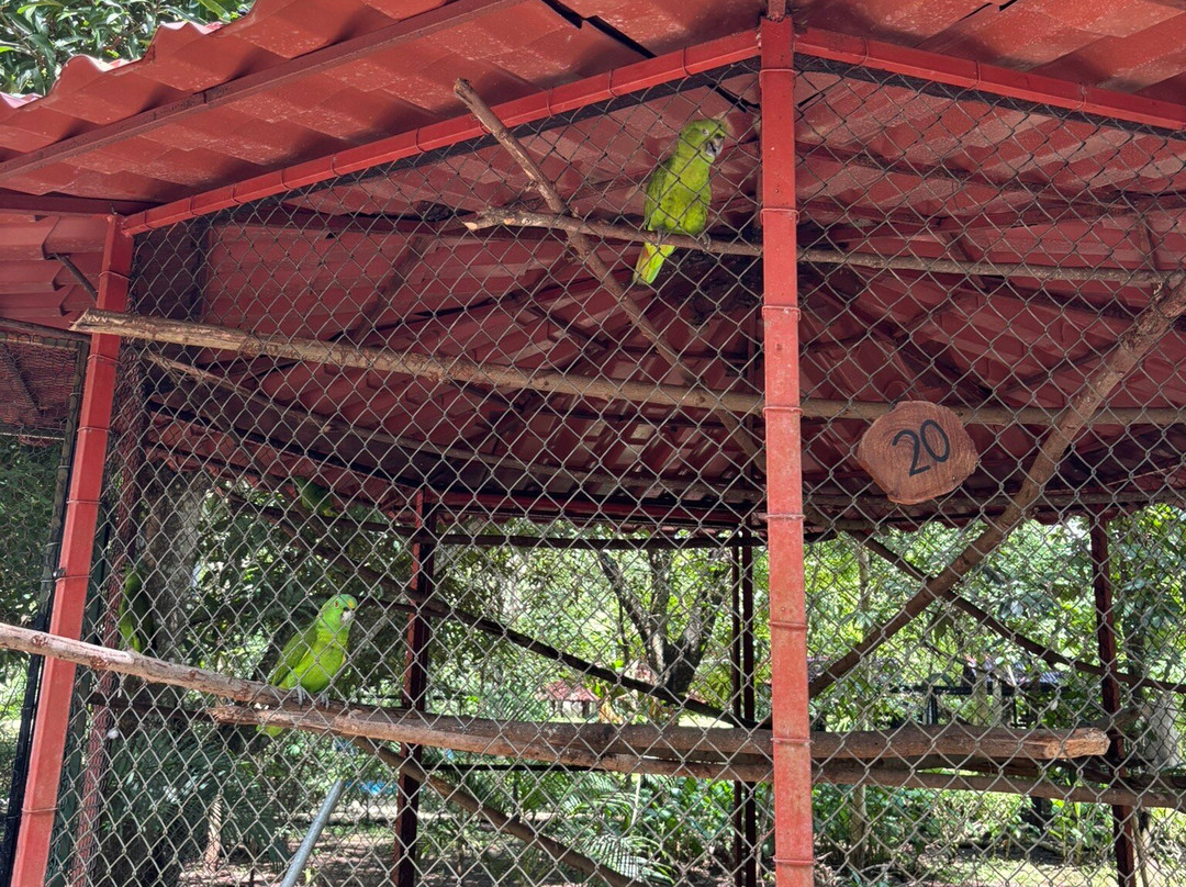 APAMI Wild Life-Portegolpe必去景点