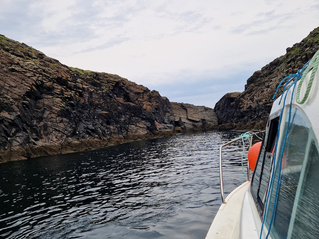 Blacksod Sea Safari-Belmullet必去景点