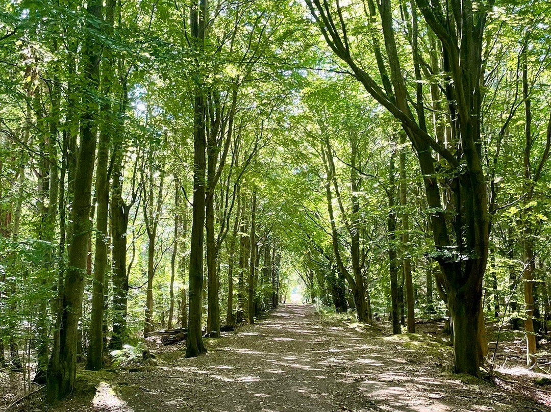 Butterdean Wood-Haddington必去景点