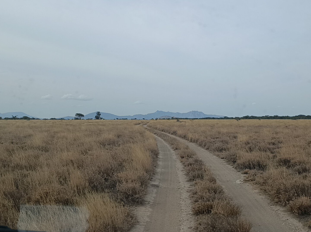 Buffalo Springs National Reserve-Buffalo Springs Game Reserve必去景点