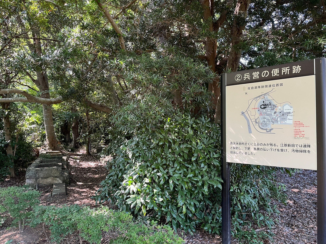 Sakura Castle Site Park-佐仓市必去景点