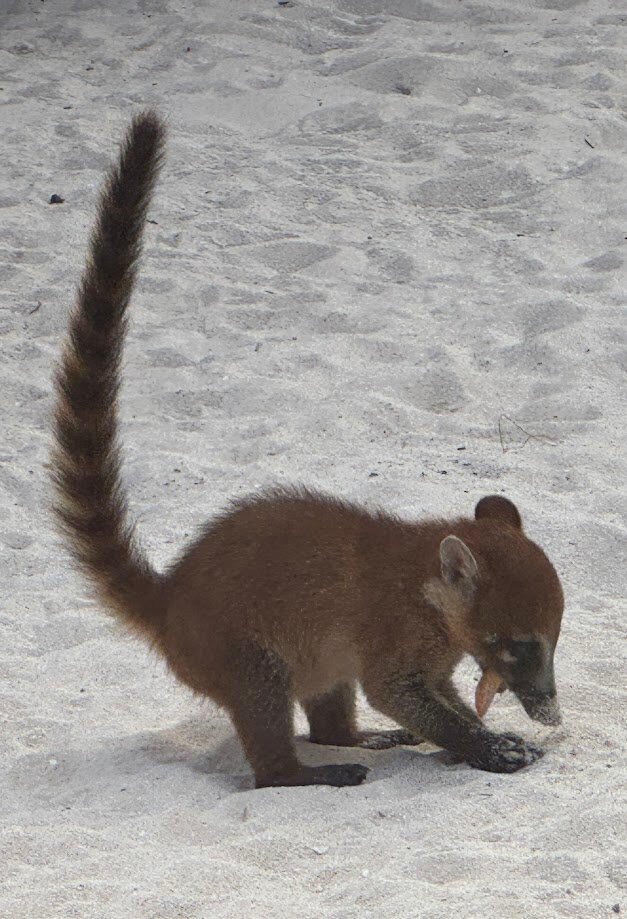 Iberostar Waves Paraíso Beach-浴室