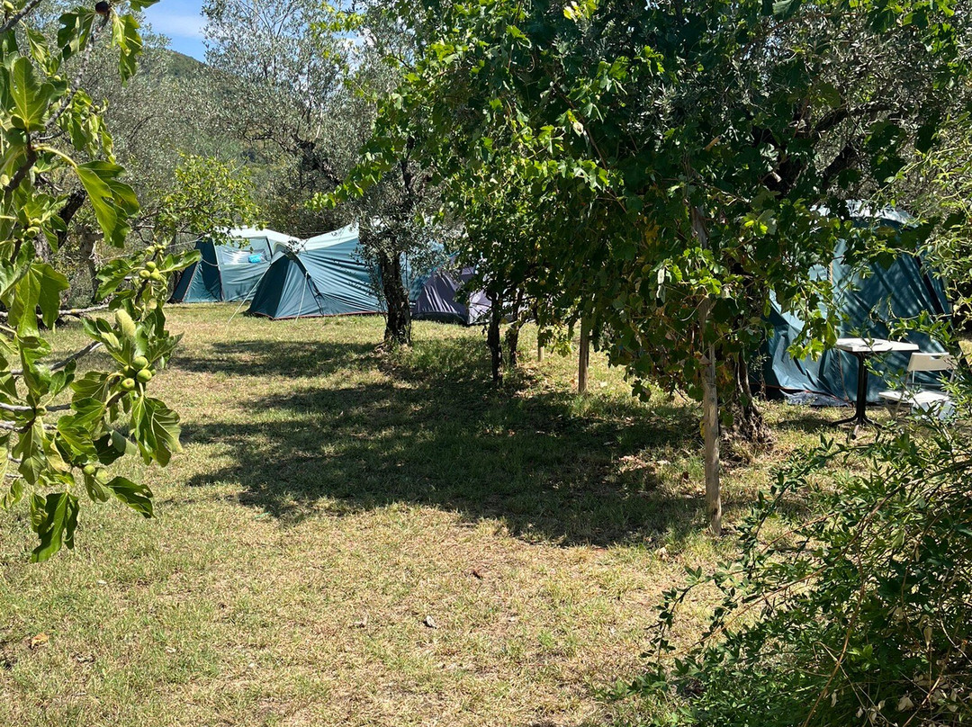 Tenuta del Casale del Jazz