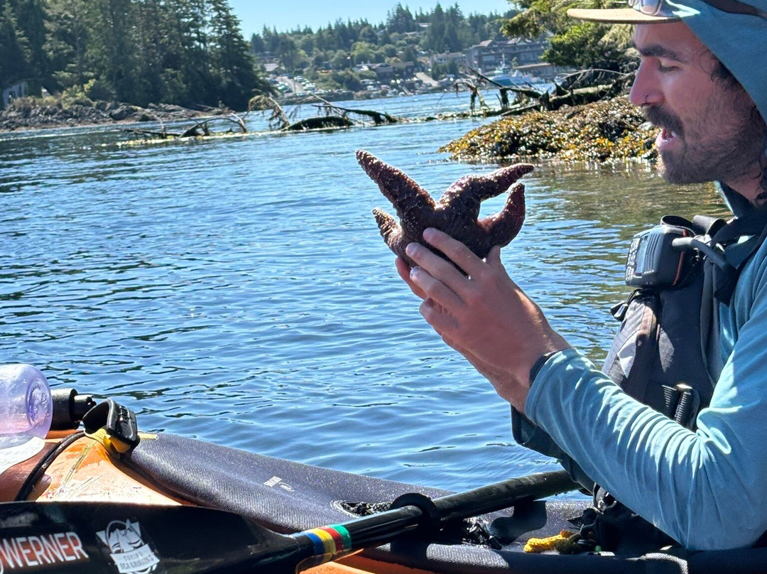 Tofino Sea Kayaking Day Tours-托菲诺必去景点