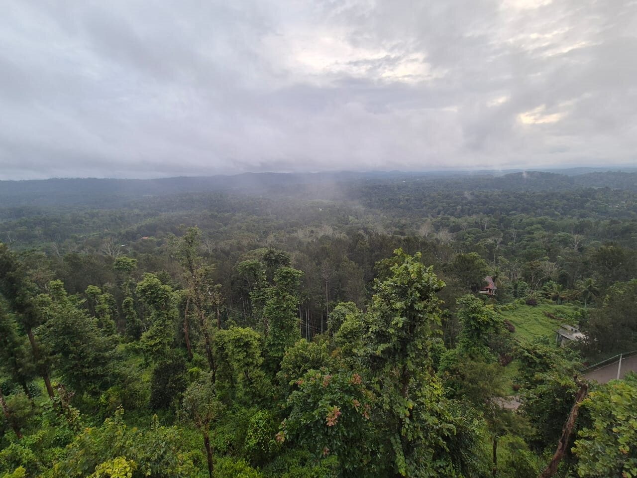 Coorg Cliffs Resort & Spa-酒店景观