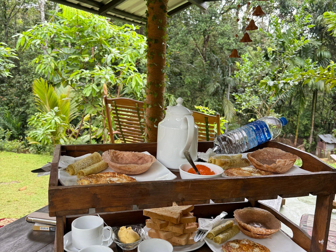 Indunil tours Sri Lanka-Deniyaya必去景点