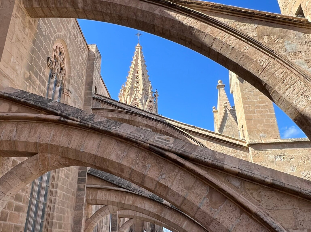 Terrazas de la Catedral de Palma-马洛卡帕尔马必去景点