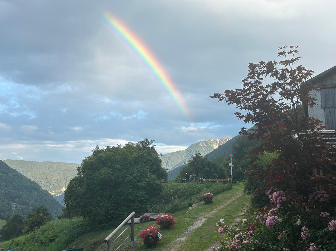Chalet Val di Rabbi主图