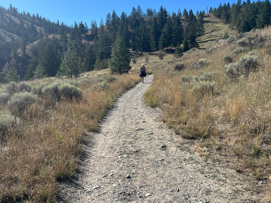 Peterson Creek Park-坎卢普斯必去景点