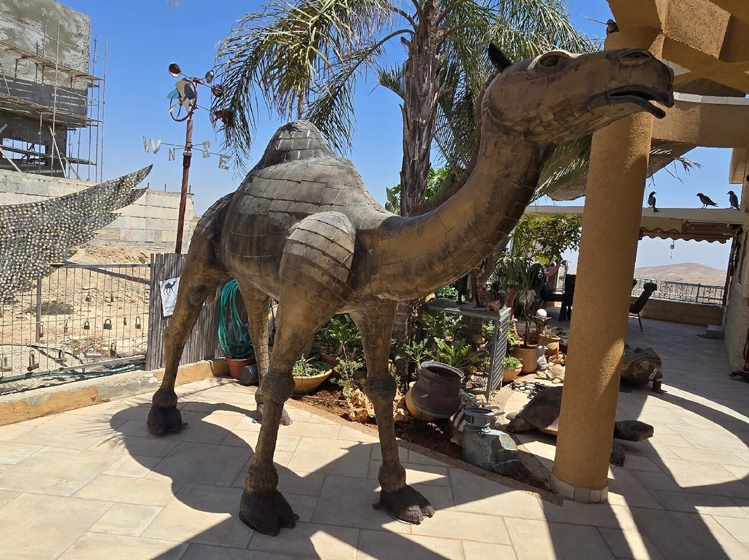 House of Art-Arad必去景点