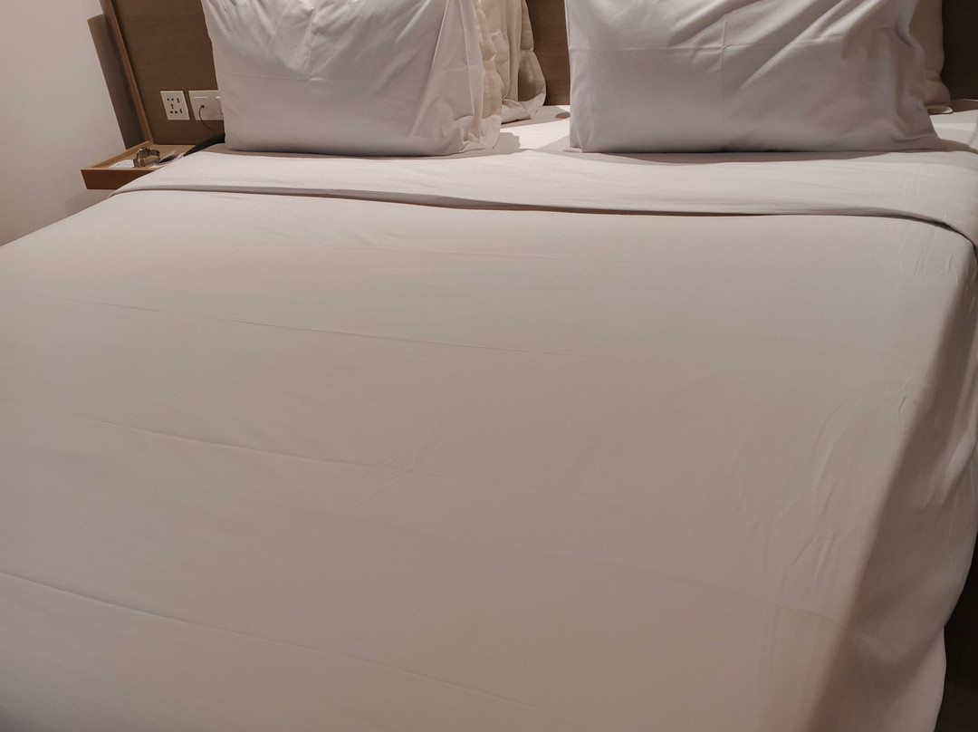 Swiss-Belexpress Cilegon主图