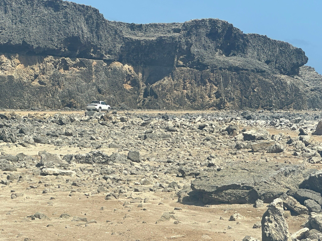 Seru Grandi-Washington-Slagbaai National Park必去景点