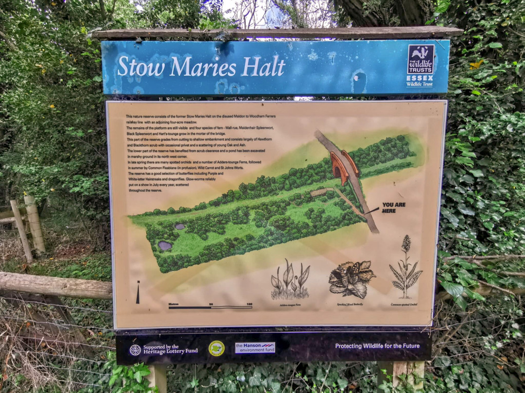 Stow Maries Halt Nature Reserve-Stow Maries必去景点