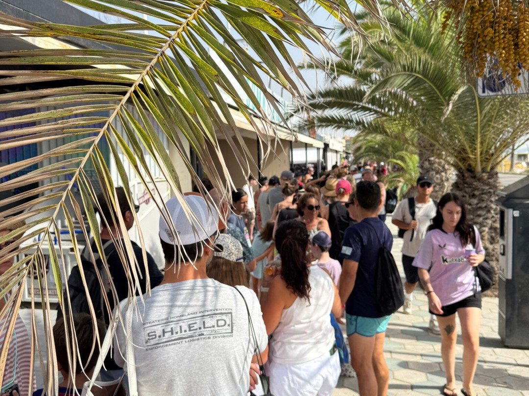 水城-拉皮内达必去景点