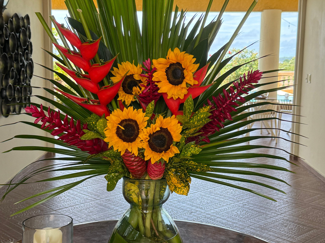 El Regalo Resort主图