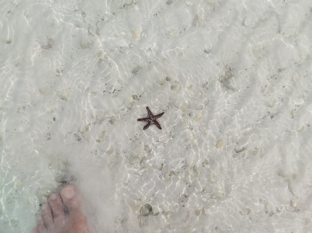 Isla Holbox-Holbox Island必去景点