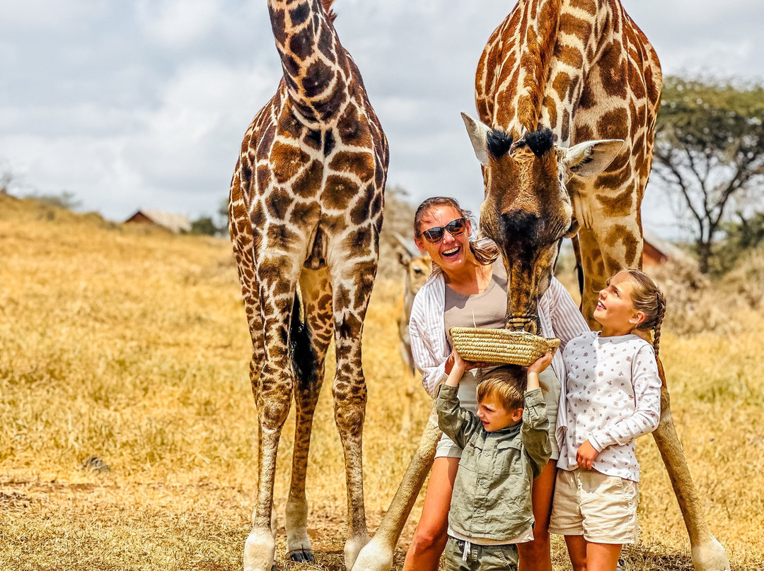 Still Waters Safaris Tanzania-阿鲁沙必去景点