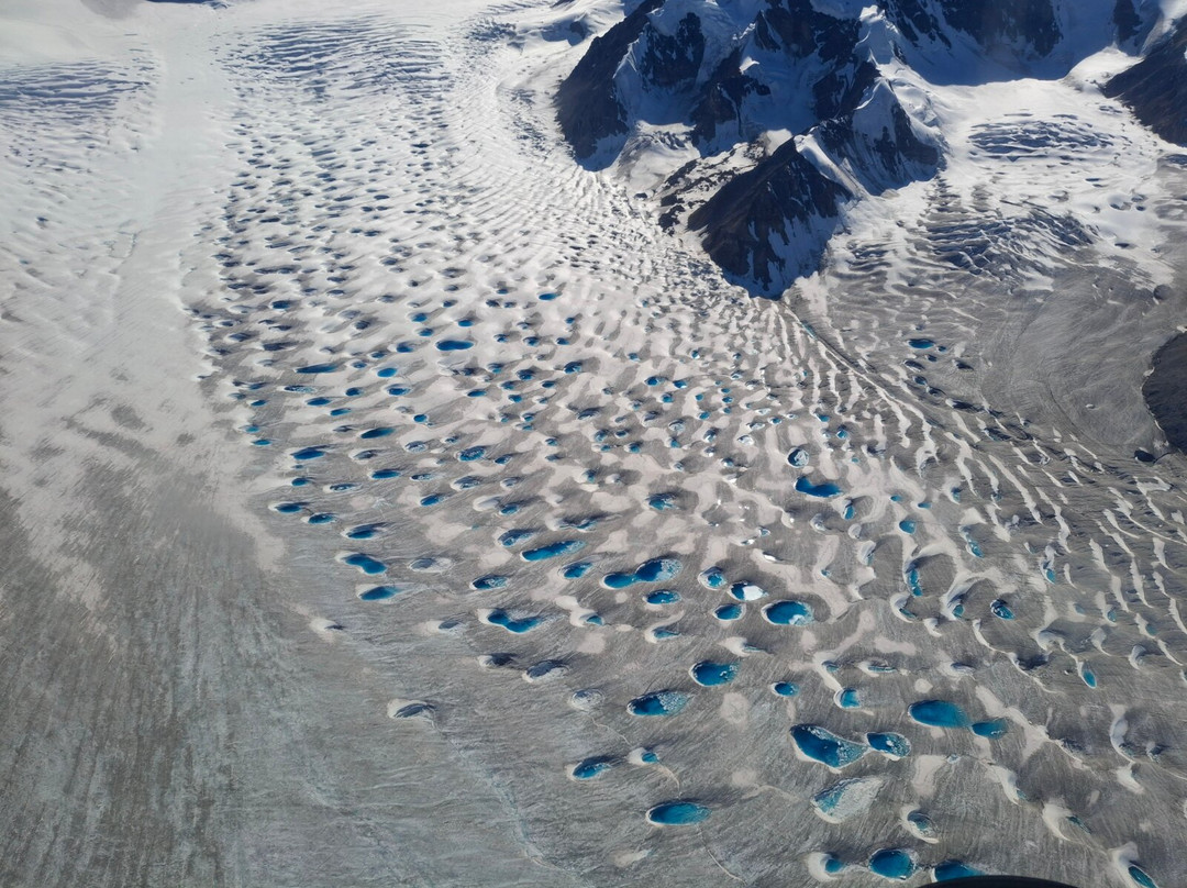 Rocking Star Adventures-Burwash Landing必去景点