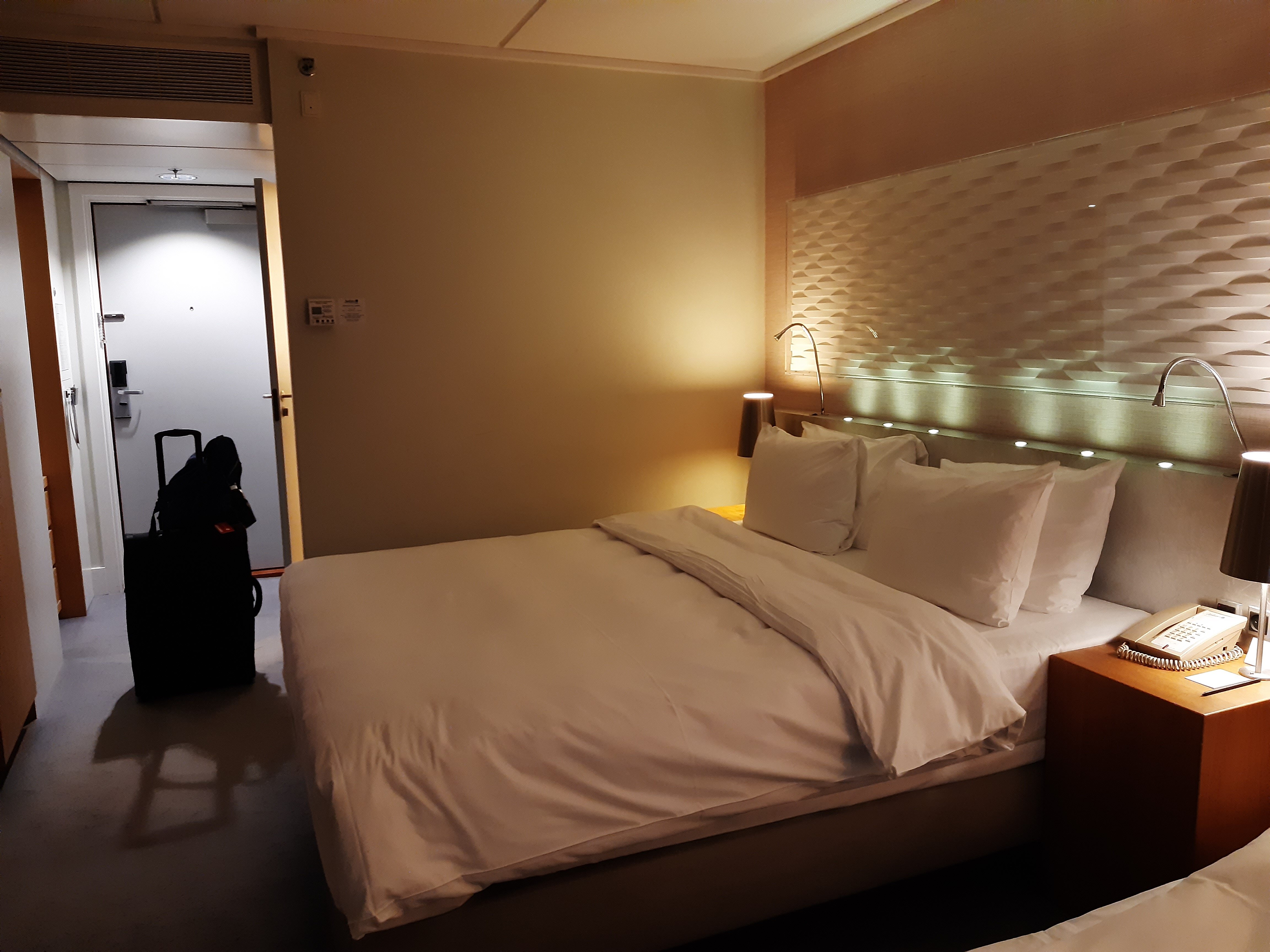 Radisson Blu Scandinavia Hotel, Aarhus-客卧