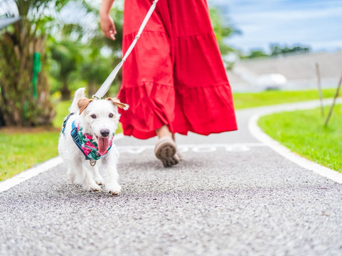 芭堤雅体育度假村主图