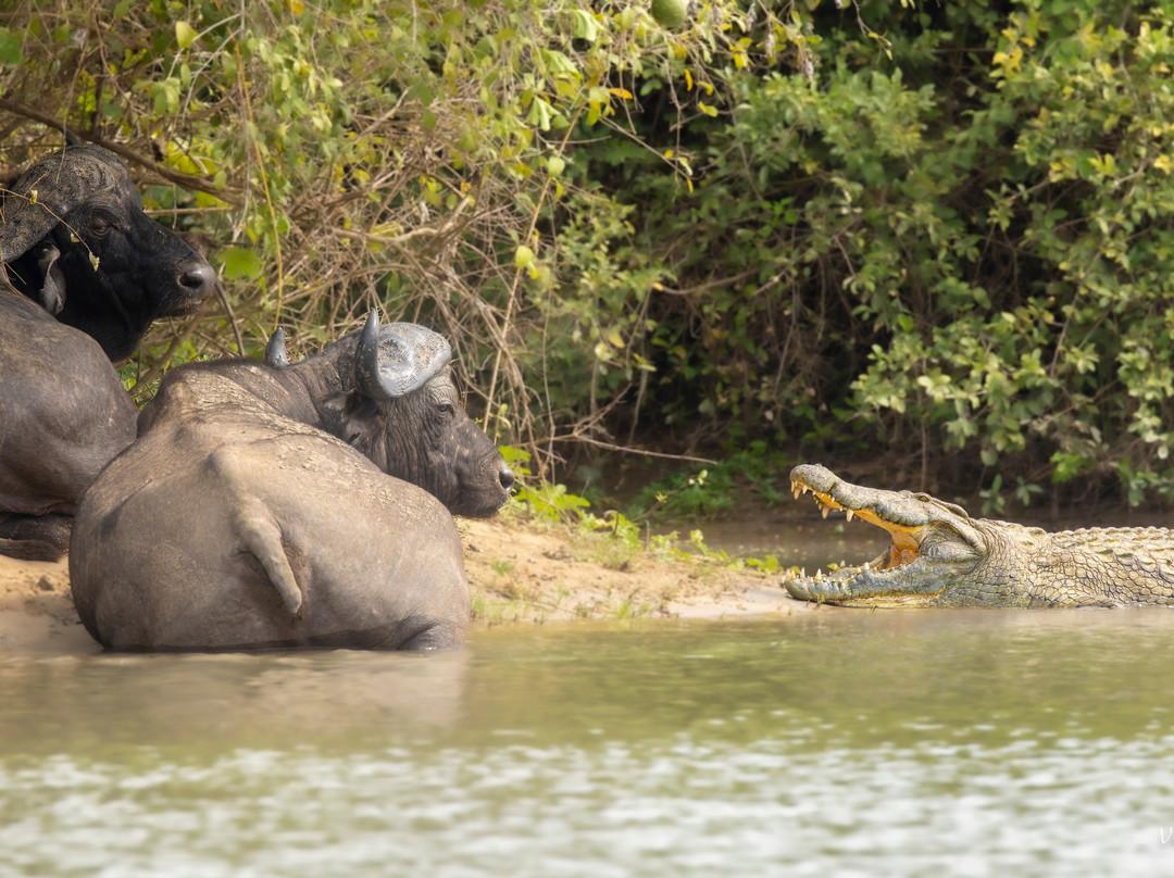 Travel with Deo-Mloka必去景点